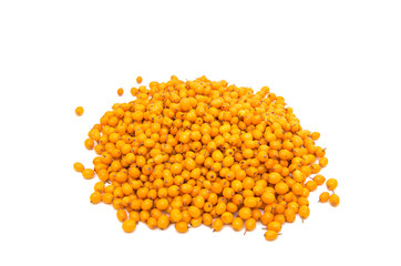 Sea-buckthorn berries