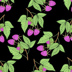 Seamless pattern with raspberries berries