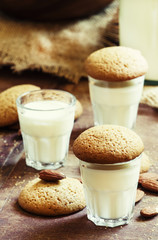 Fresh milk and homemade nut cookies, selective focus