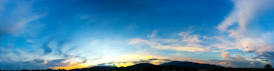 tree and sunset sky in background.