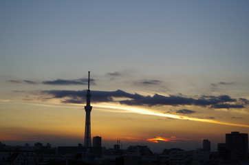 夕暮れのスカイツリー