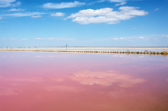 Pink salt lake