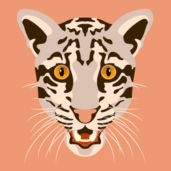 clouded leopard vector illustration head face