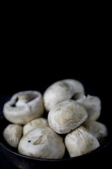 Fototapeta na wymiar White mushrooms