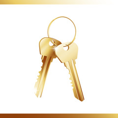 Golden bunch of keys isolated over white background. Vector illustration 10 EPS