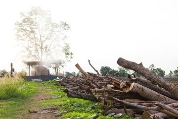 Firewood and charcoal clay oven.