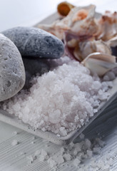 Sea salt  with stones and shells