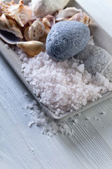 Sea salt  with stones and shells