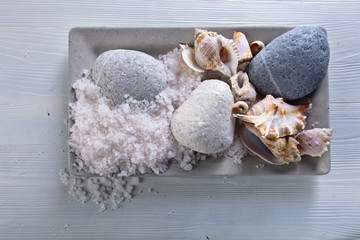 Sea salt  with stones and shells