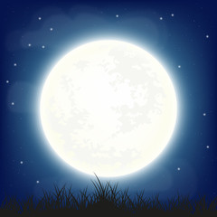 Fototapeta na wymiar Big full moon on night sky, vector illustration.