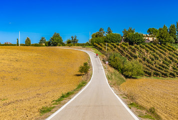 serpentine road through the plowed fields