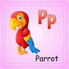 Animals alphabet: P is for Parrot