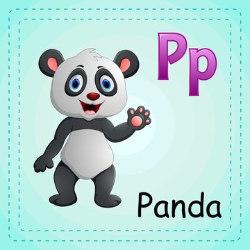 Animals alphabet: P is for Panda