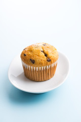 The tasty muffin with chocolate.