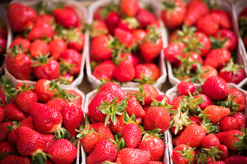 Natural strawberries in boxes at a farmers market