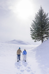 Fototapeta na wymiar Schneeschuhwanderer im fahlen, winterlichen Gegenlicht