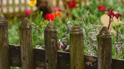 Obraz premium Gartenzaun 