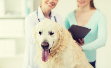 close up of vet with tablet pc and dog at clinic