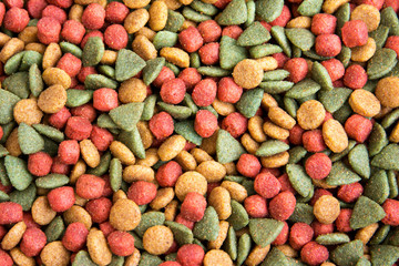 Colorful dried dog food background