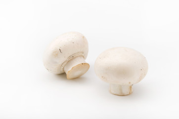 マッシュルーム