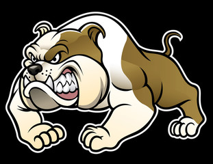 angry bulldog