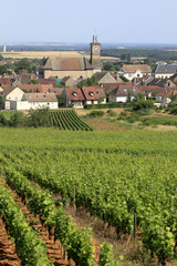 Fototapeta na wymiar Bourgogne