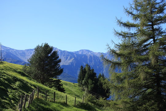 Bergblick