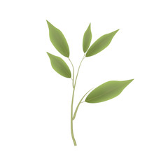 ficus leaves. Branch with green leaves, vector