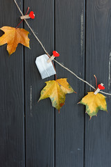 yellow leaves and tea bag on clothespins