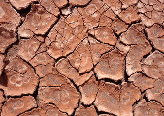 dry mud background texture
