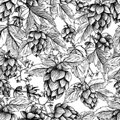 Beer hops seamless pattern of hand drawn hops cones and hops leaves, black and white background, sketch and engraving design hops plants. All element isolated.