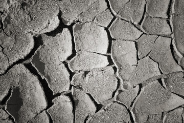 dry mud land background texture