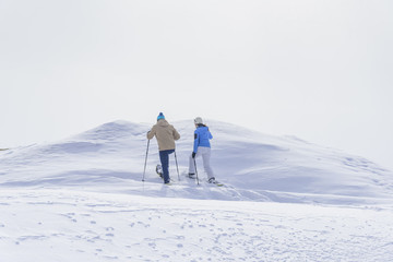Schneeschuhwanderer erreichen den Gipfel