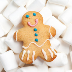 Gingerbread man cookie and white marshmallow isolated on white b