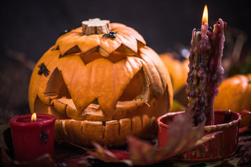 Halloween scary pumpkins