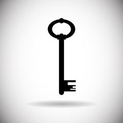 Key Web Icon Safety Concept Flat Vector Illustration
