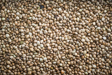 Close up view on hemp seeds