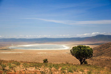 Panorama sur le site du cratère du Ngorongoro
