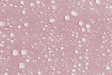 Water drops on a pink background. Abstract background.