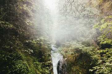 Fototapeta na wymiar natural waterfall with lush vegetation in mist