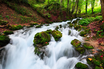 Autumn landscape with mountain river flowing among mossy stones through the colorful forest. Silky smooth stream of clear water. Red leaves frame this beautiful cascade small waterfalls in the wood.