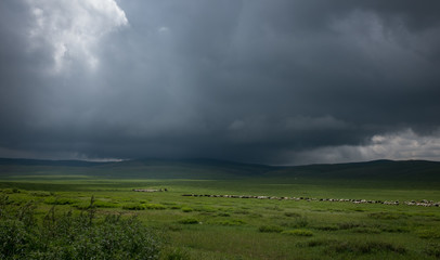 Fototapeta premium Dark sky 