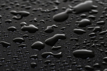Water drops on the black 