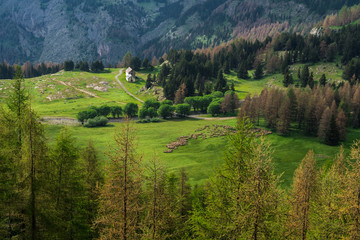  National Park of Mercantour, Alps (France)