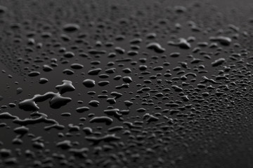 Water drops on the black 