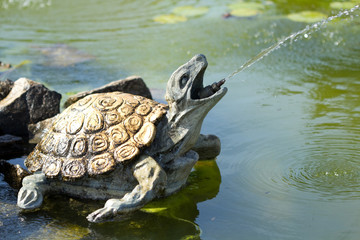 Fountain  in the form of  turtle