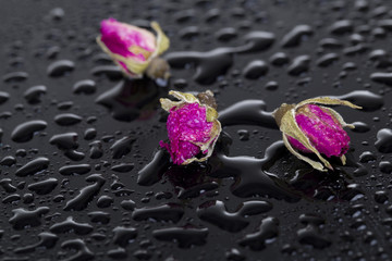 Dried damask rose and water drops