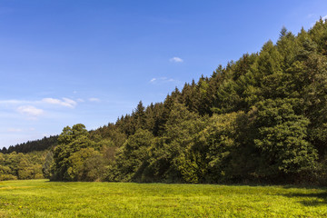 Fototapeta premium Nettersheim: Landschaft am Rande des Urfttales bei Nettersheim in der Eifel.