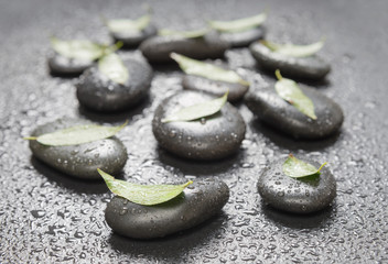 Black stones and green leaves, with water drops