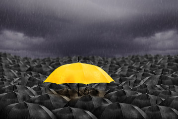 Yellow umbrella in mass of black umbrellas